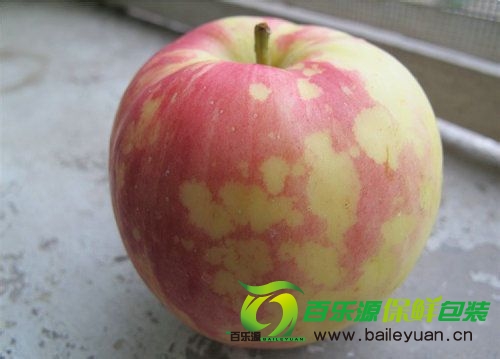蘋(píng)果花臉病